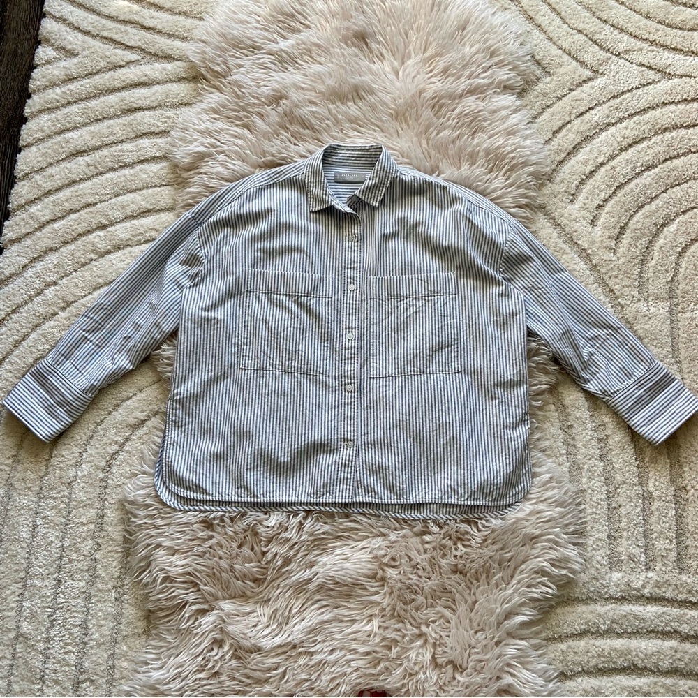 Everlane The Boxy Oxford Small